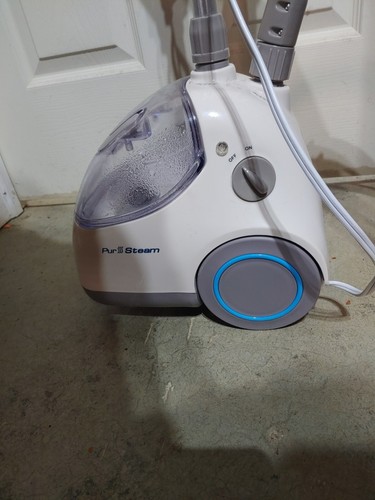 Professional garment steamer - garment,