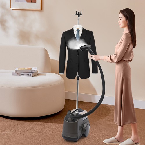 Standing garment steamer - standing,